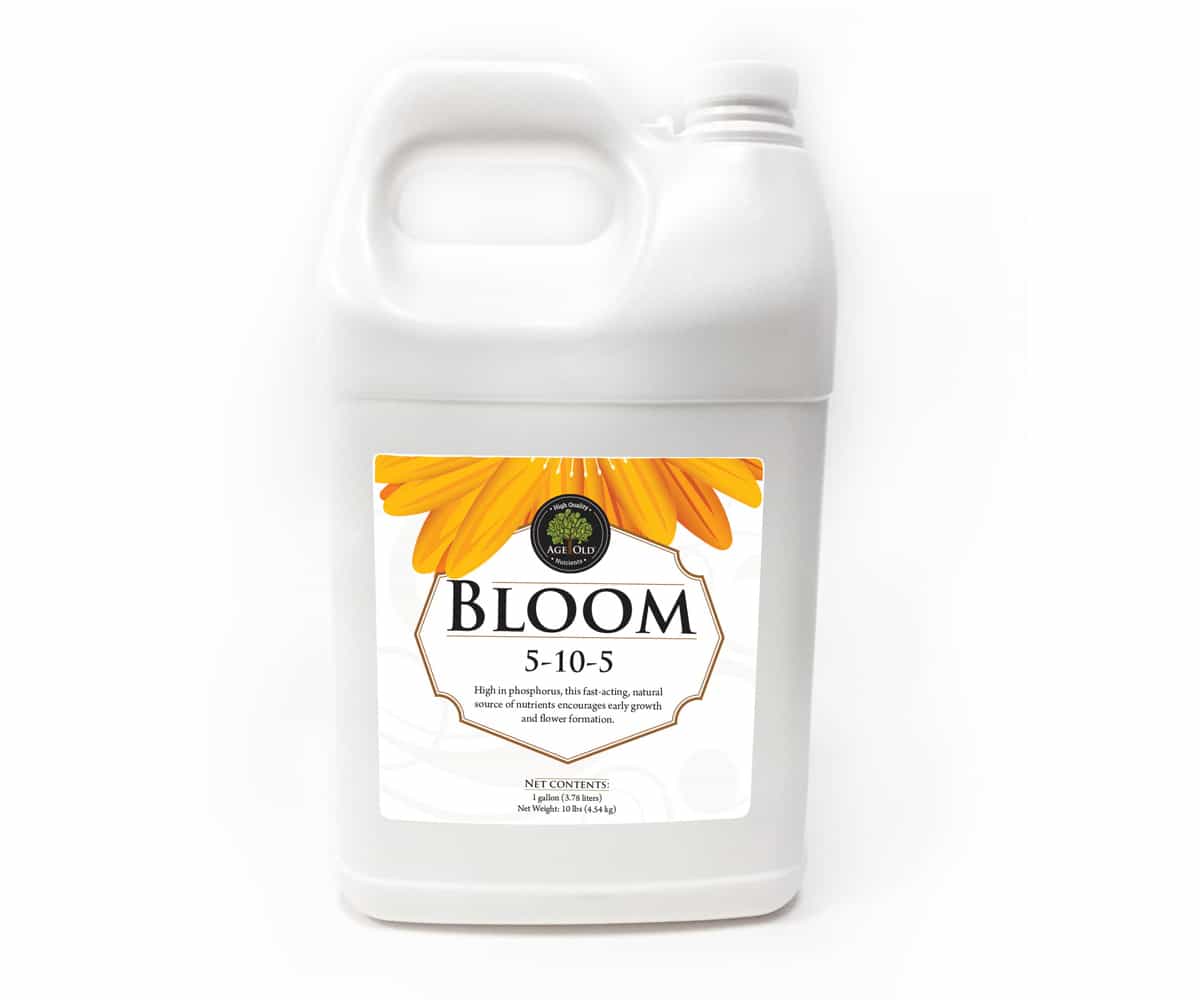 Age Old Bloom, 1 gal