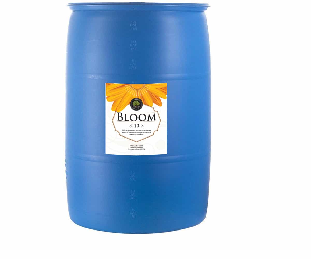 Age Old Bloom, 55 gal drum