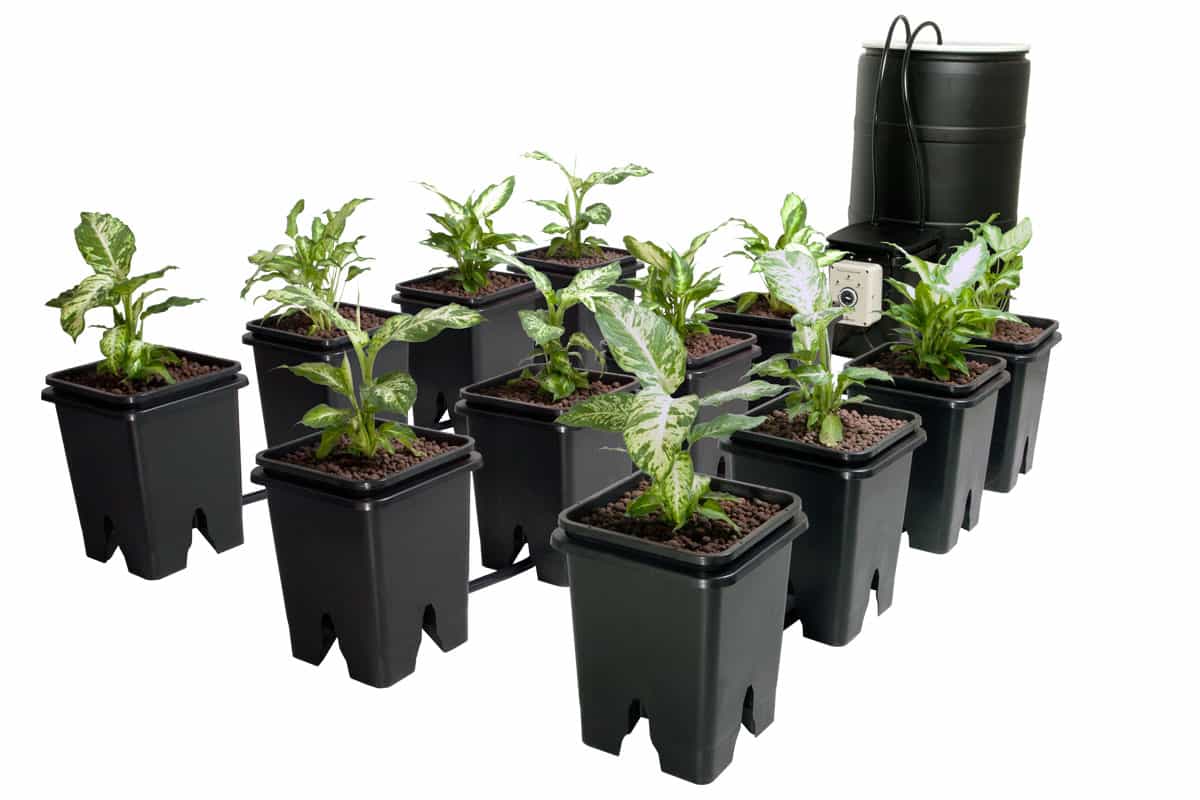 Hydroponic systems: sample product image 2