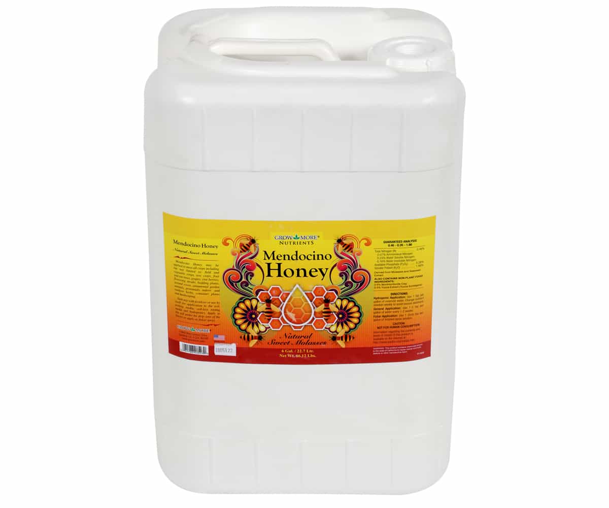 Mendocino Honey 6 Gallon *