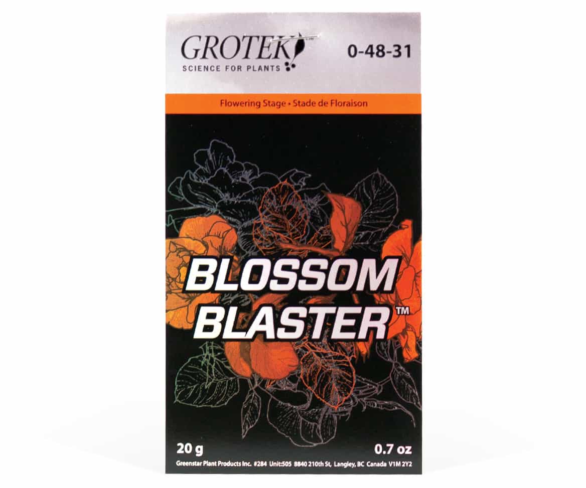 Blossom Blaster, 20 g