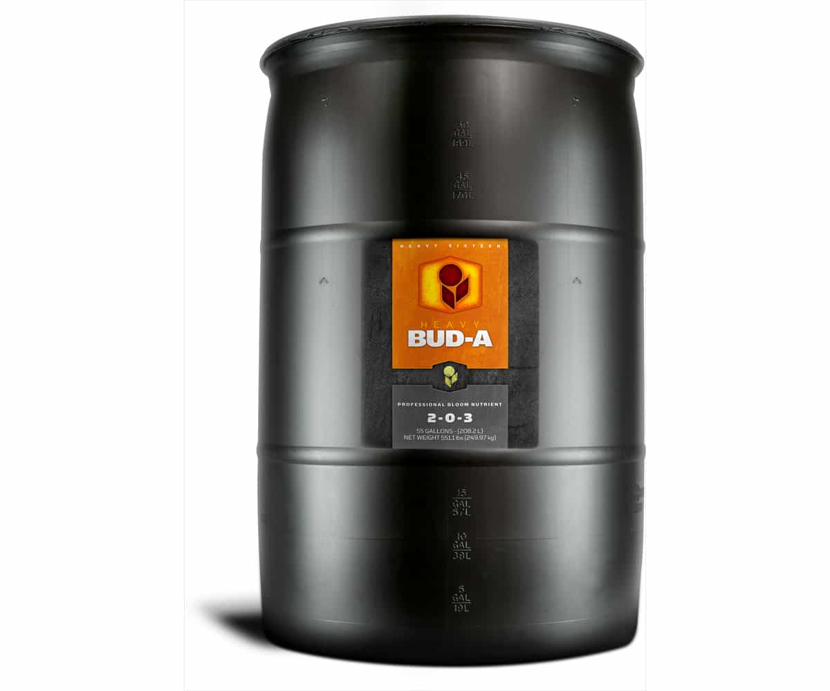 Heavy 16 Bud A 55 Gallon (55G) *