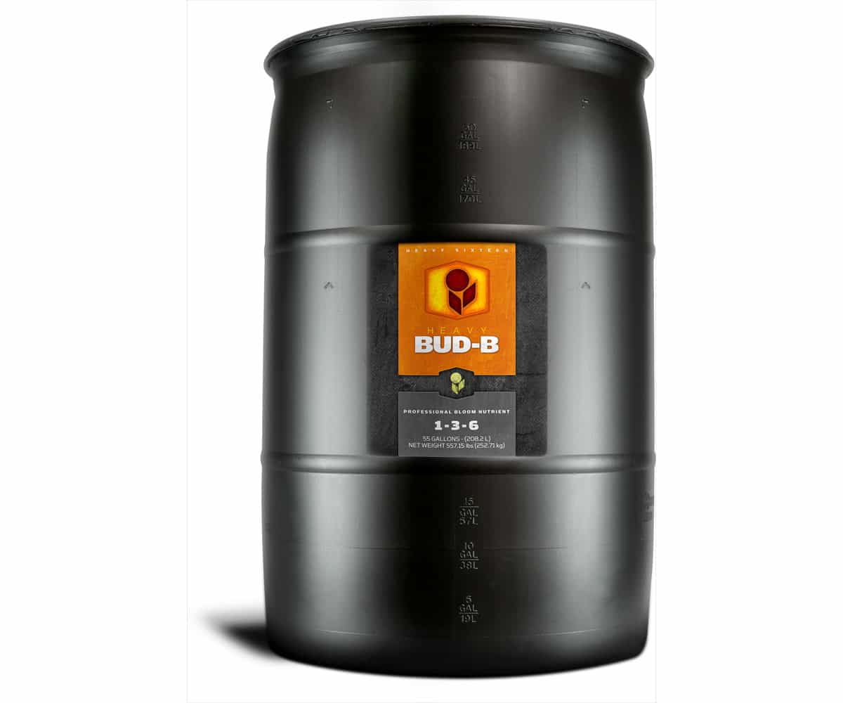 Heavy 16 Bud B 55 Gallon (55G) *
