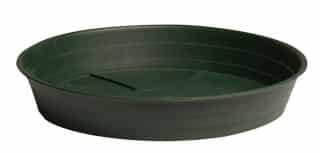 Premium Green Saucer, 12", pack of 10