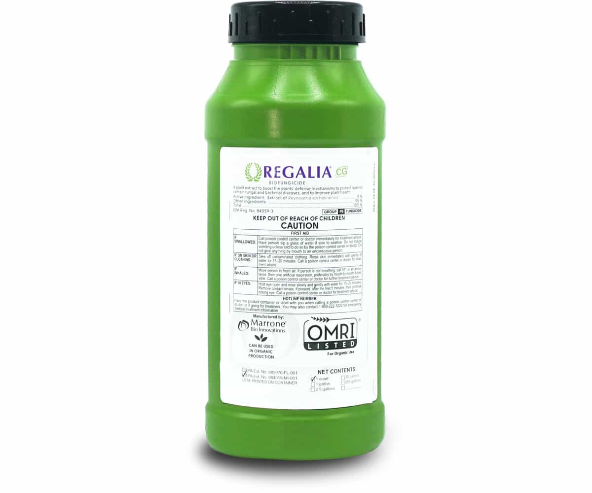 Marrone Bio Regalia CG® Biofungicide 1 QUART *