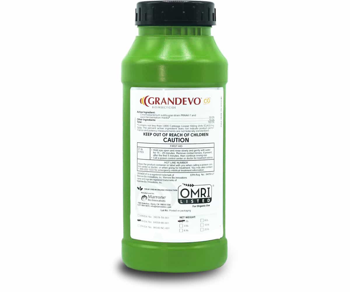 Marrone Bio Grandevo CG®Bioinsecticide  1 POUND *