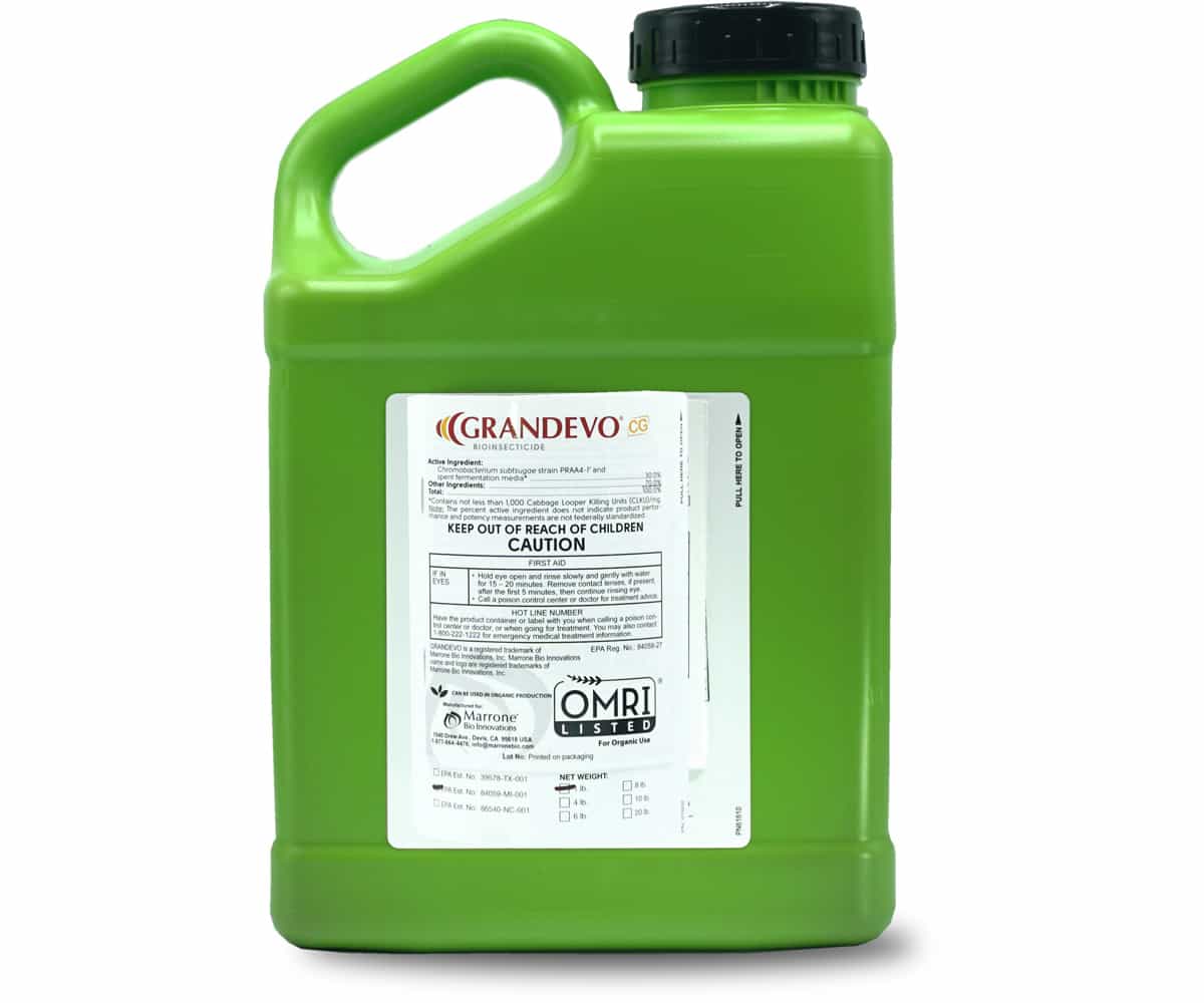 Marrone Bio Grandevo CG®Bioinsecticide  4 POUND *