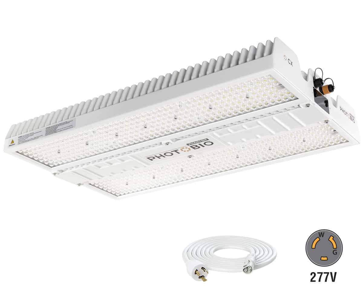 PHOTOBIO CX 2125 LED, 850W, 100-277V S4, (10' 277V L7-20P Cord)