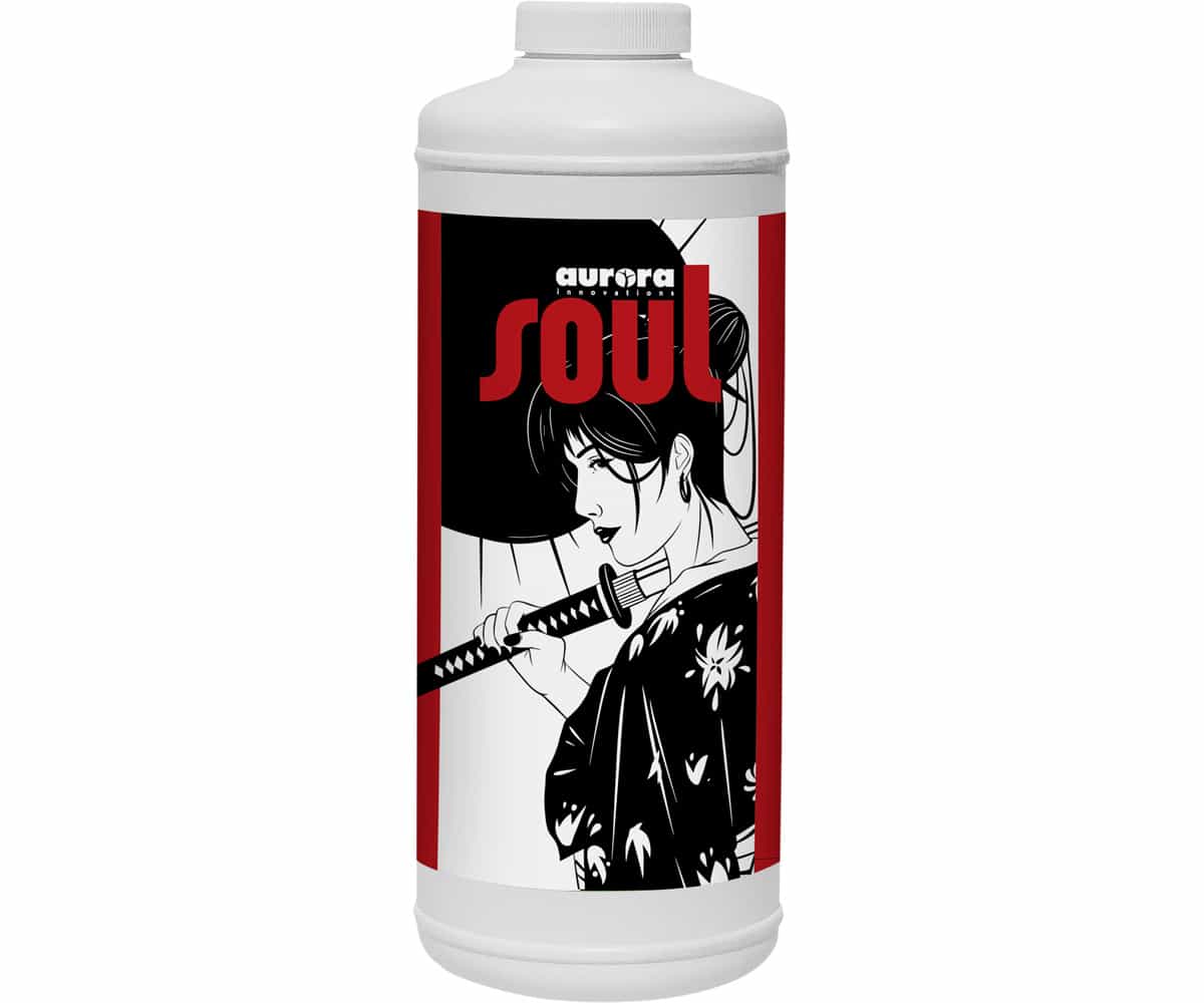 Soul Sensei Bloom, Quart *