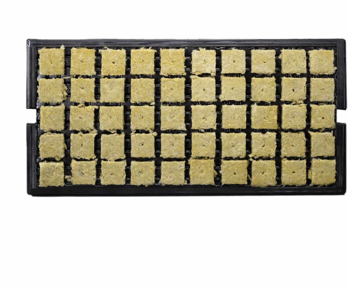  Grodan 1.5” AO prefilled tray, case of 1,500 *