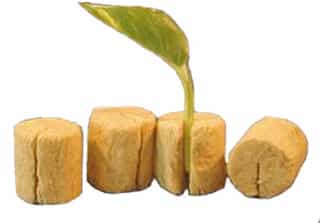 Grodan Macro Plugs, case of 2000 round plugs with slit