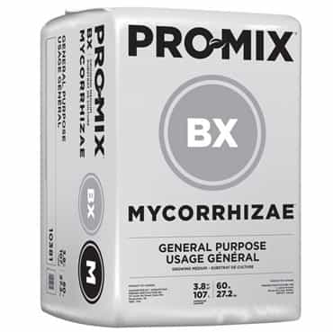 Growing media: sample product image 2