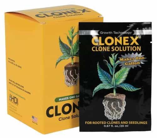Clonex Solution Packet 20 ml