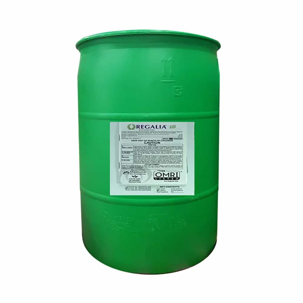 Marrone Bio Innovations Regalia CG 55 Gallon