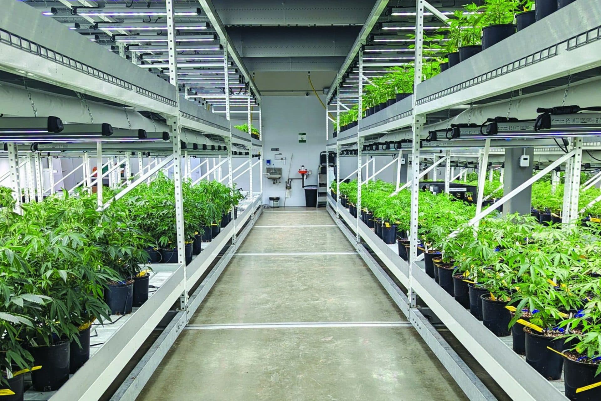 Hydroponic mobile Multi-Tier Rolling Racks Stainless Sturdyclose menu icon — manufacturer product photo