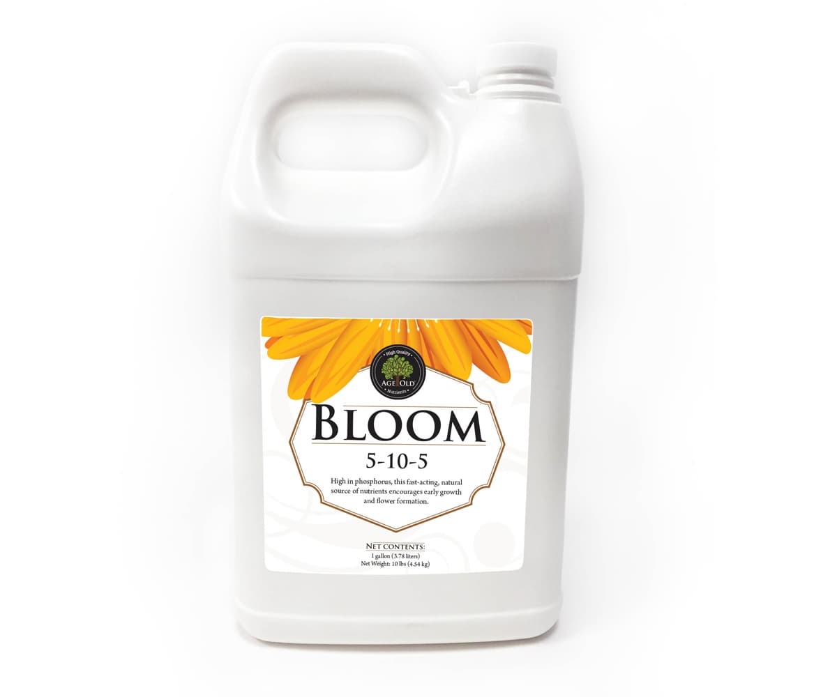 Age Old Bloom, 1 gal — product photo
