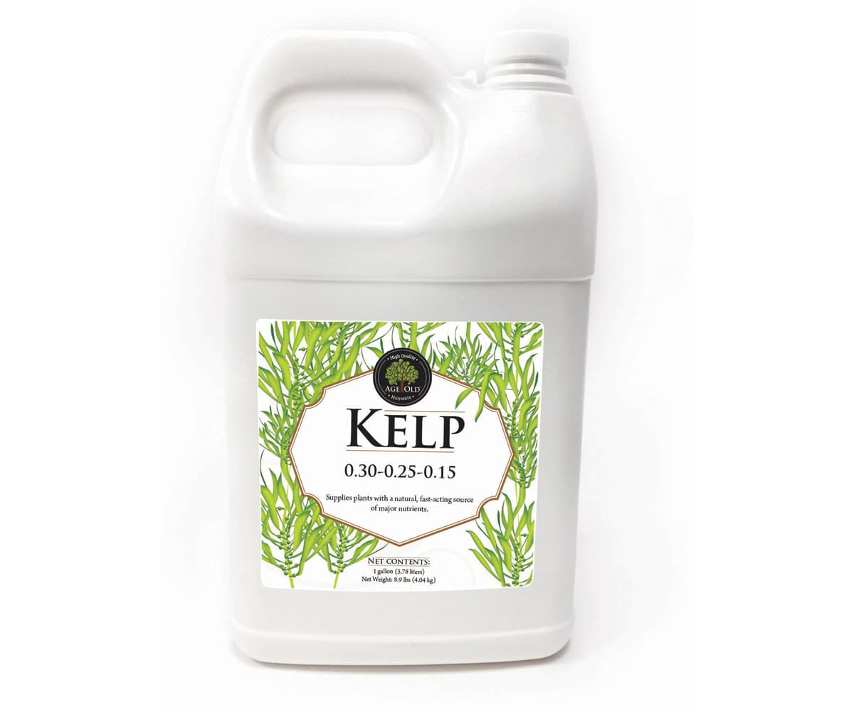 Age Old Kelp, 1 gal — product photo
