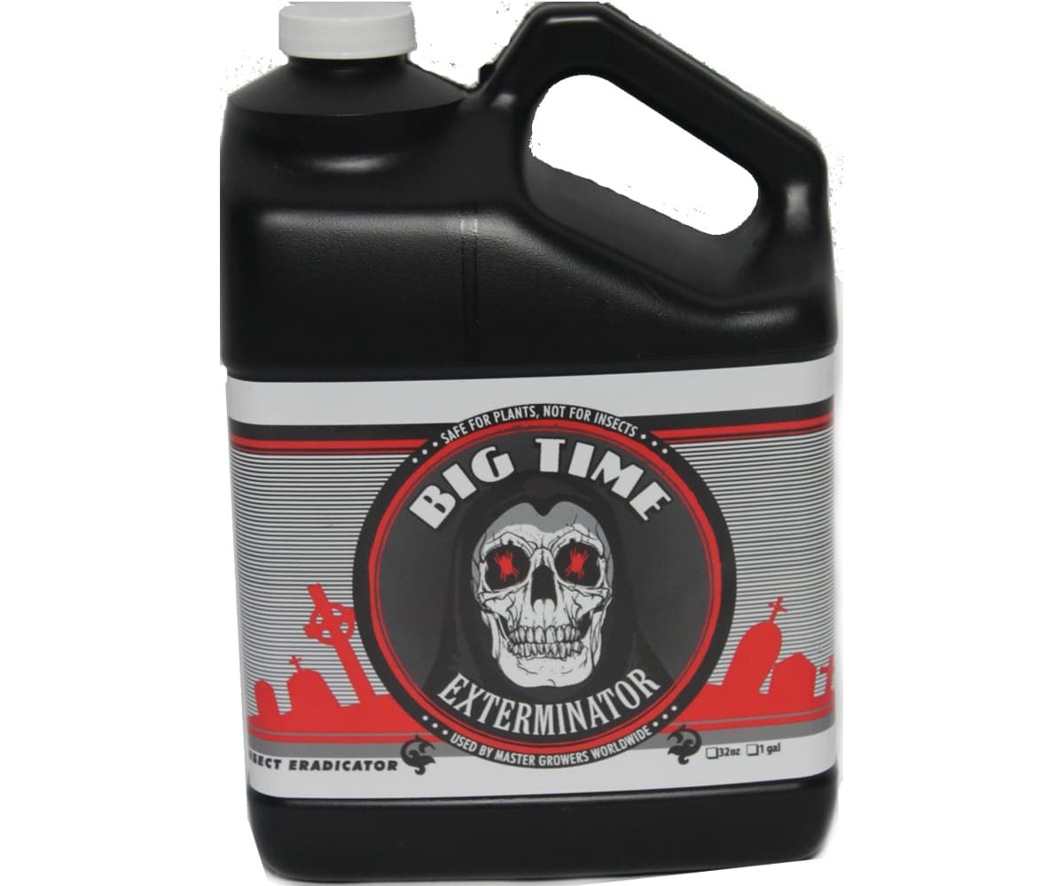Big Time Exterminator, 1 gal — product photo