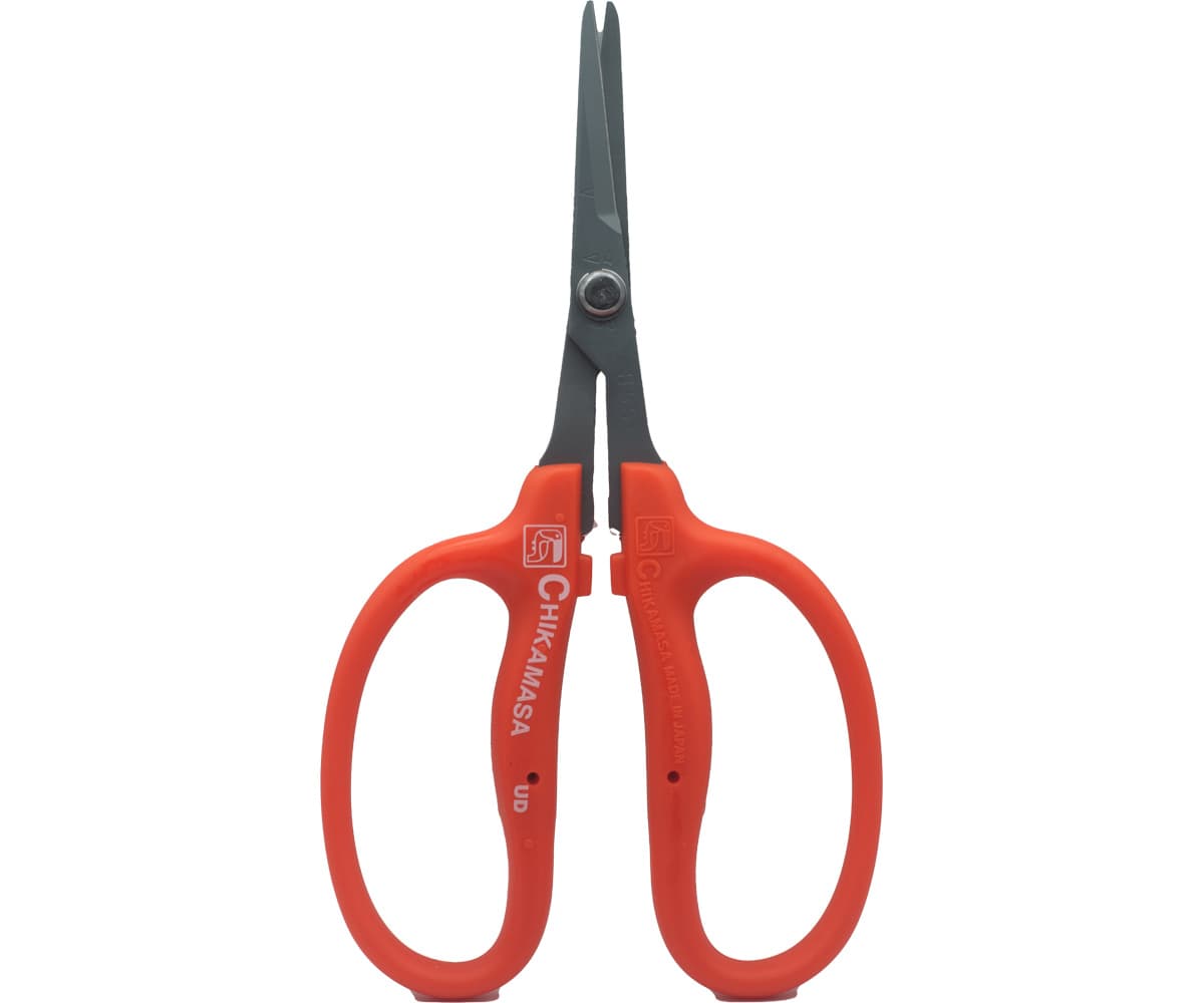 Chikamasa B500SF Scissors, Straight Blade, Fluorine/SS/EL — product photo