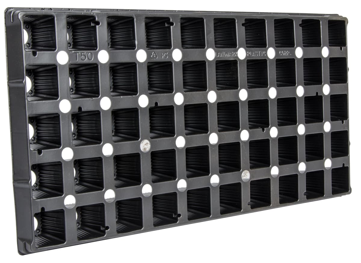 50-Cell Square Plug Flat Insert — product photo