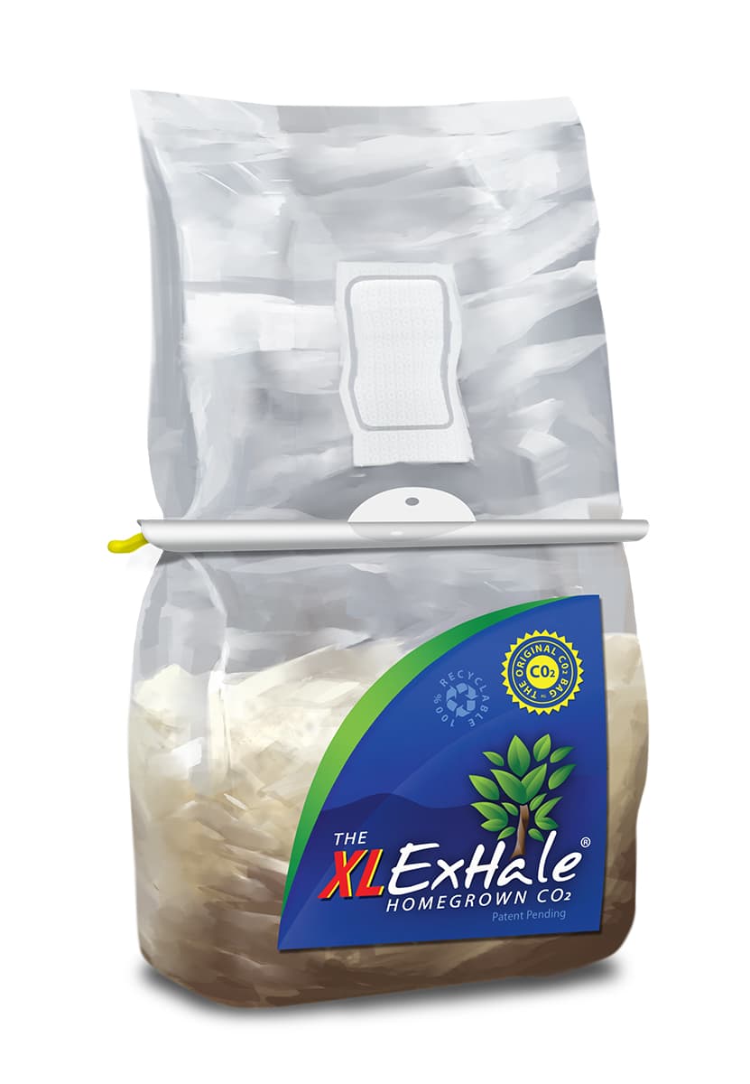 ExHale XL CO2 Bag — product photo