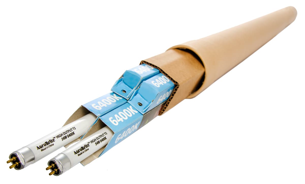 T5 24W 2' Replacement 6400K Tubes, case of 4 — product photo