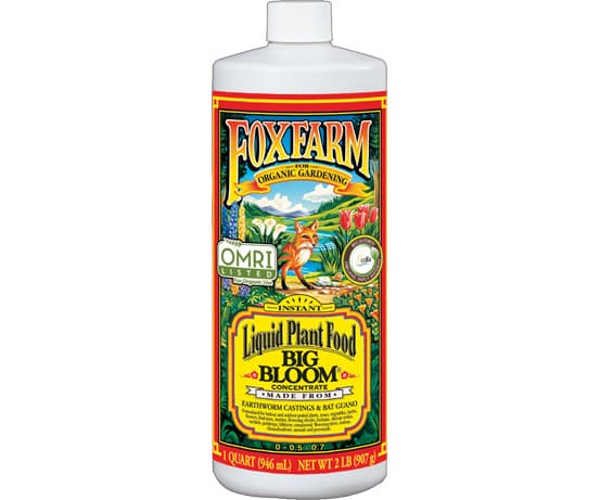 FoxFarm Big Bloom Liquid Concentrate, 1 qt — product photo