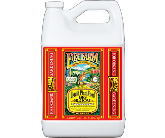 FoxFarm Big Bloom Liquid Concentrate, 1 gal — product photo