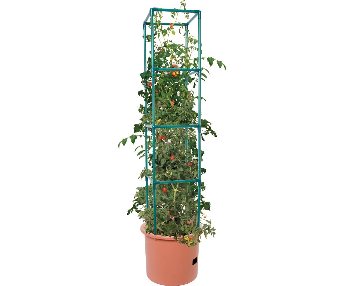 Heavy Duty Tomato Barrel w/Tower — product photo