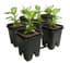 Active Aqua Grow Flow 2.0 Expansion Kit w/six 5 gal Square Pots — product photo