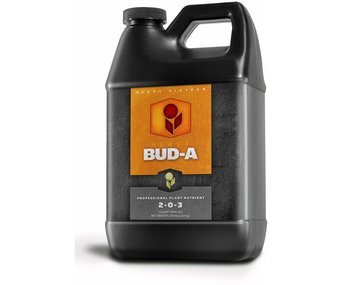 HEAVY 16 Bud A, 32 oz — product photo