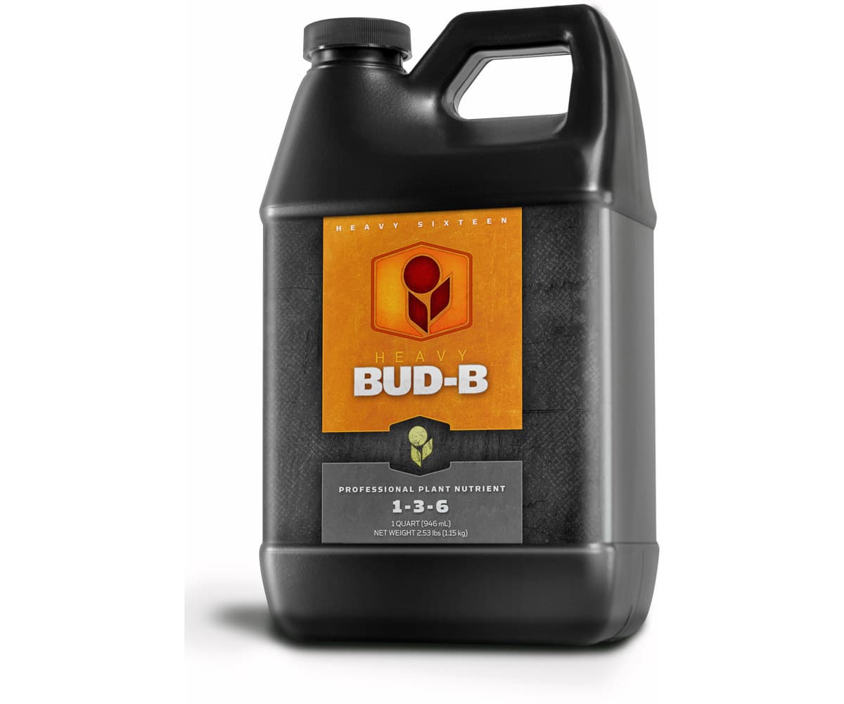 HEAVY 16 Bud B, 32 oz — product photo