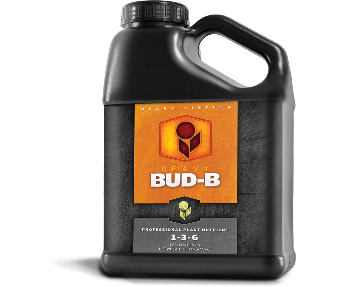 HEAVY 16 Bud B, 1 gal — product photo