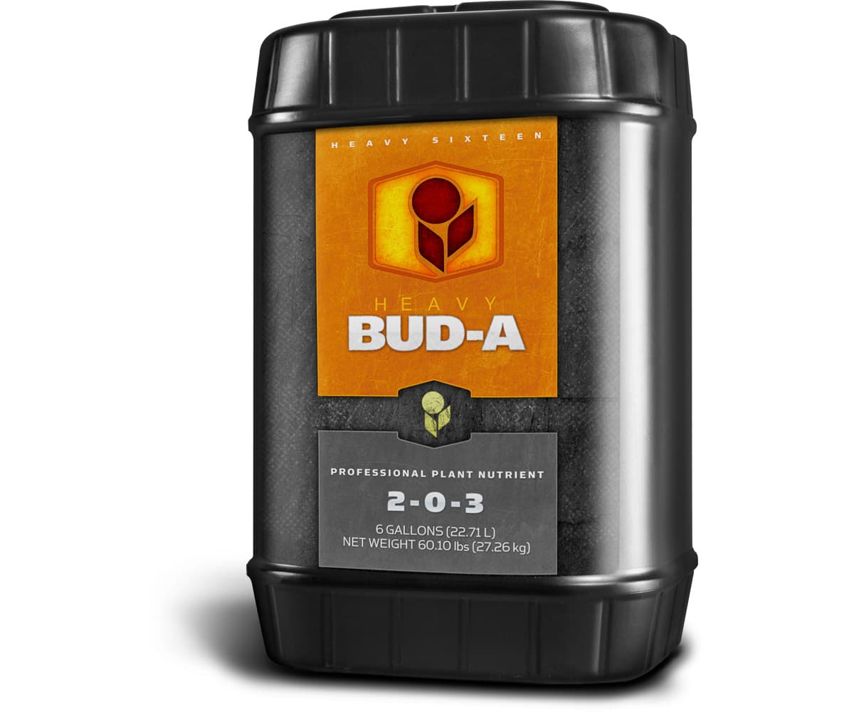 HEAVY 16 Bud A, 6 gal — product photo