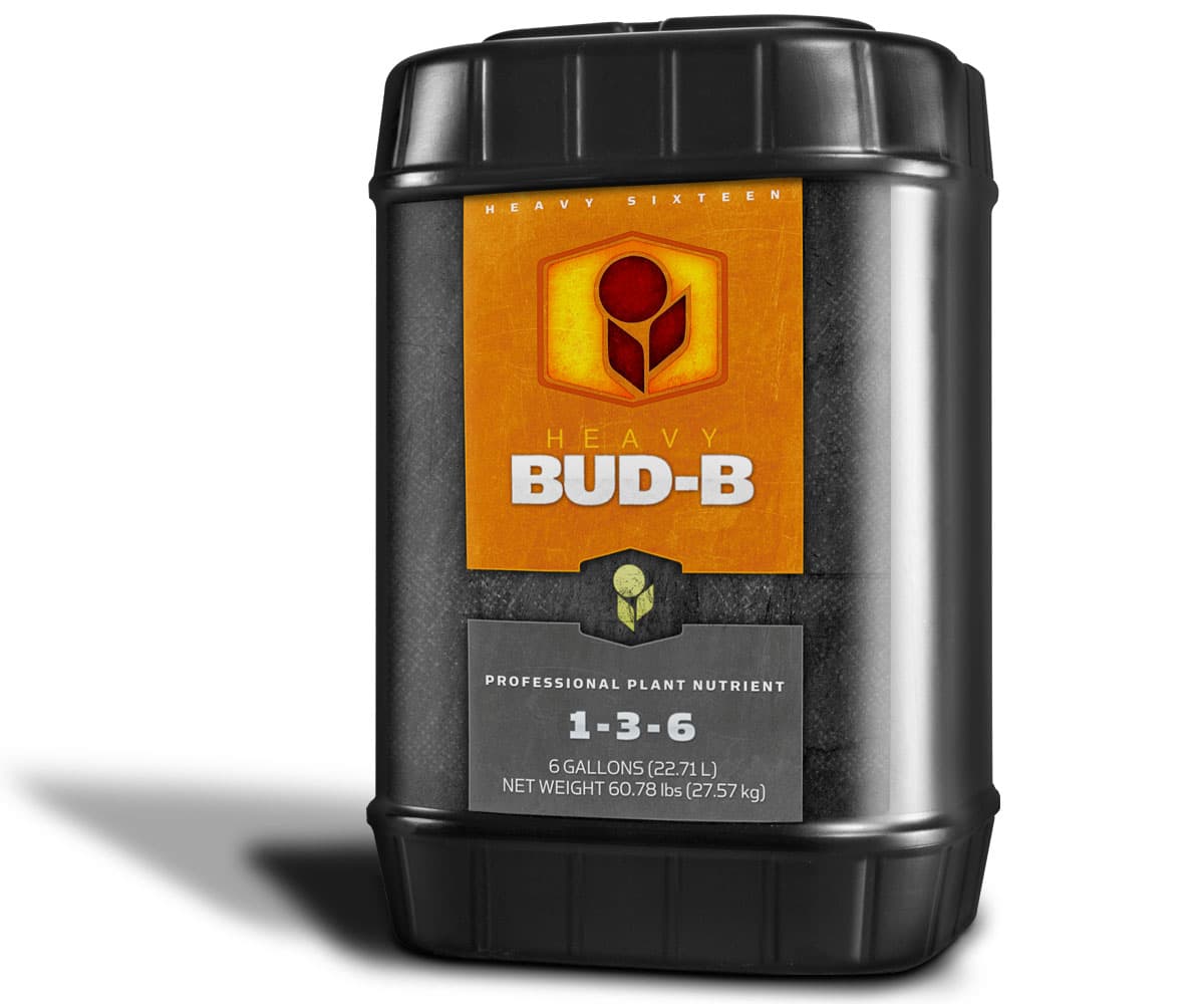 HEAVY 16 Bud B, 6 gal — product photo