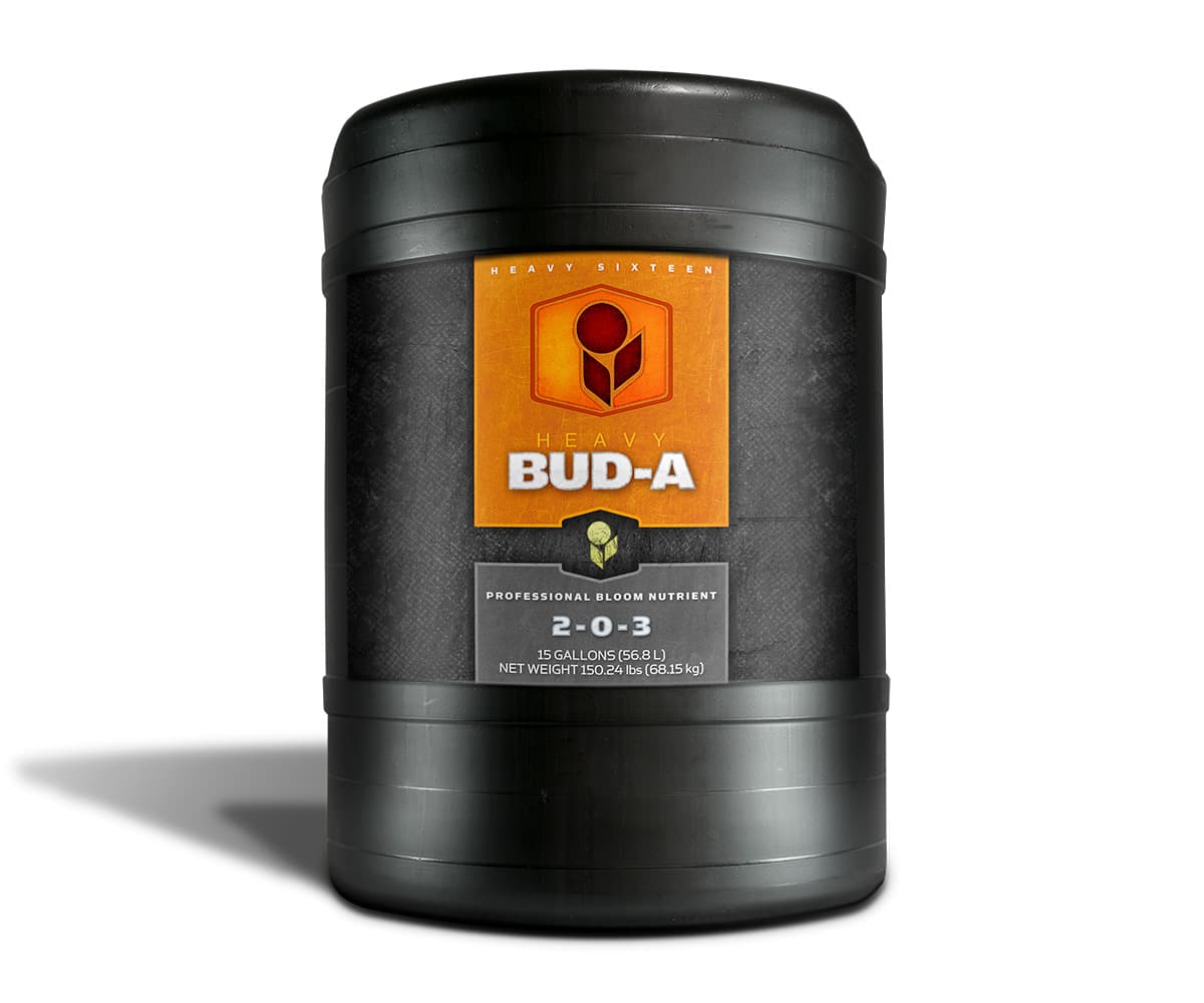 HEAVY 16 Bud A, 15 gal — product photo