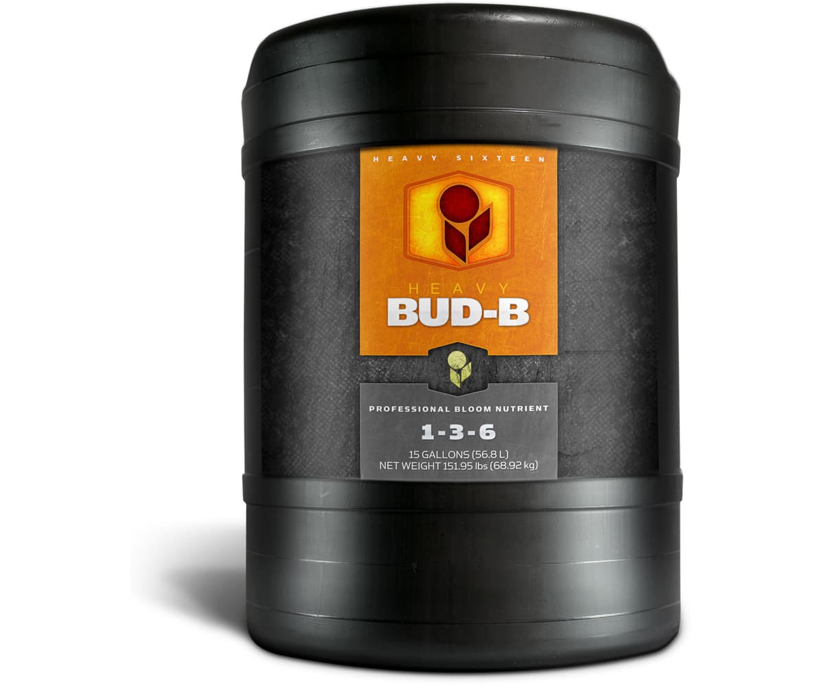 HEAVY 16 Bud B, 15 gal — product photo