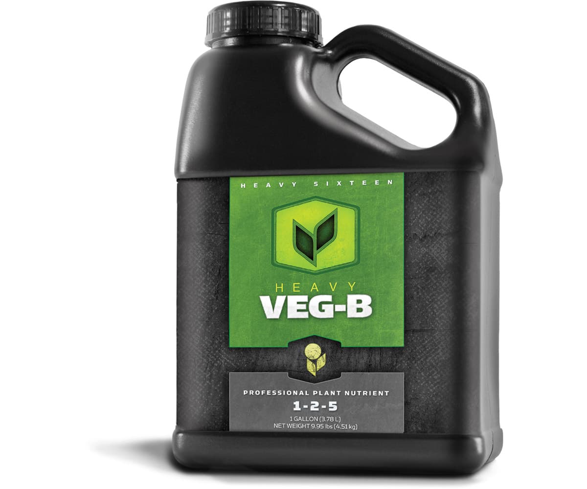 HEAVY 16 Veg B, 1 gal — product photo