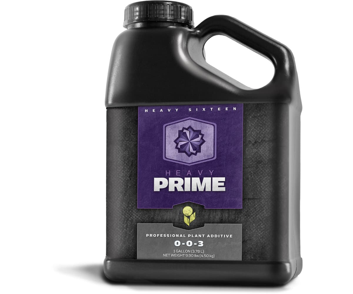 HEAVY 16 Prime, 1 gal — product photo