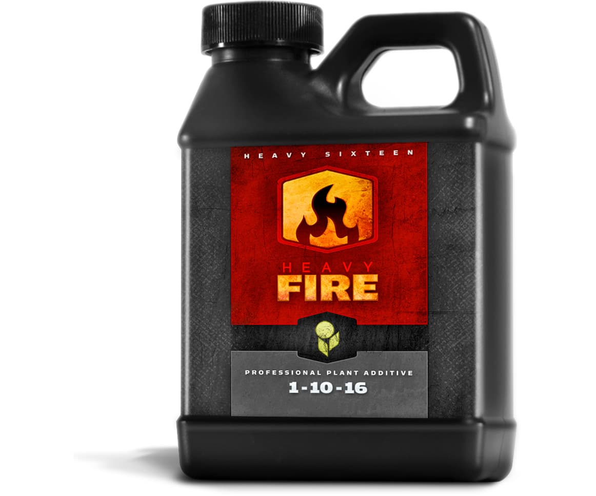 HEAVY 16 Fire, 16 oz — product photo