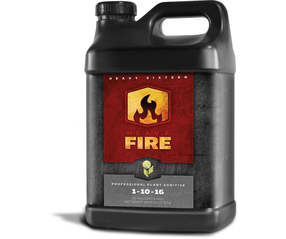 HEAVY 16 Fire, 2.5 gal — product photo
