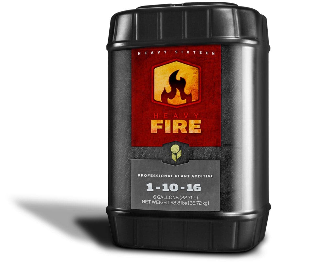HEAVY 16 Fire, 6 gal — product photo