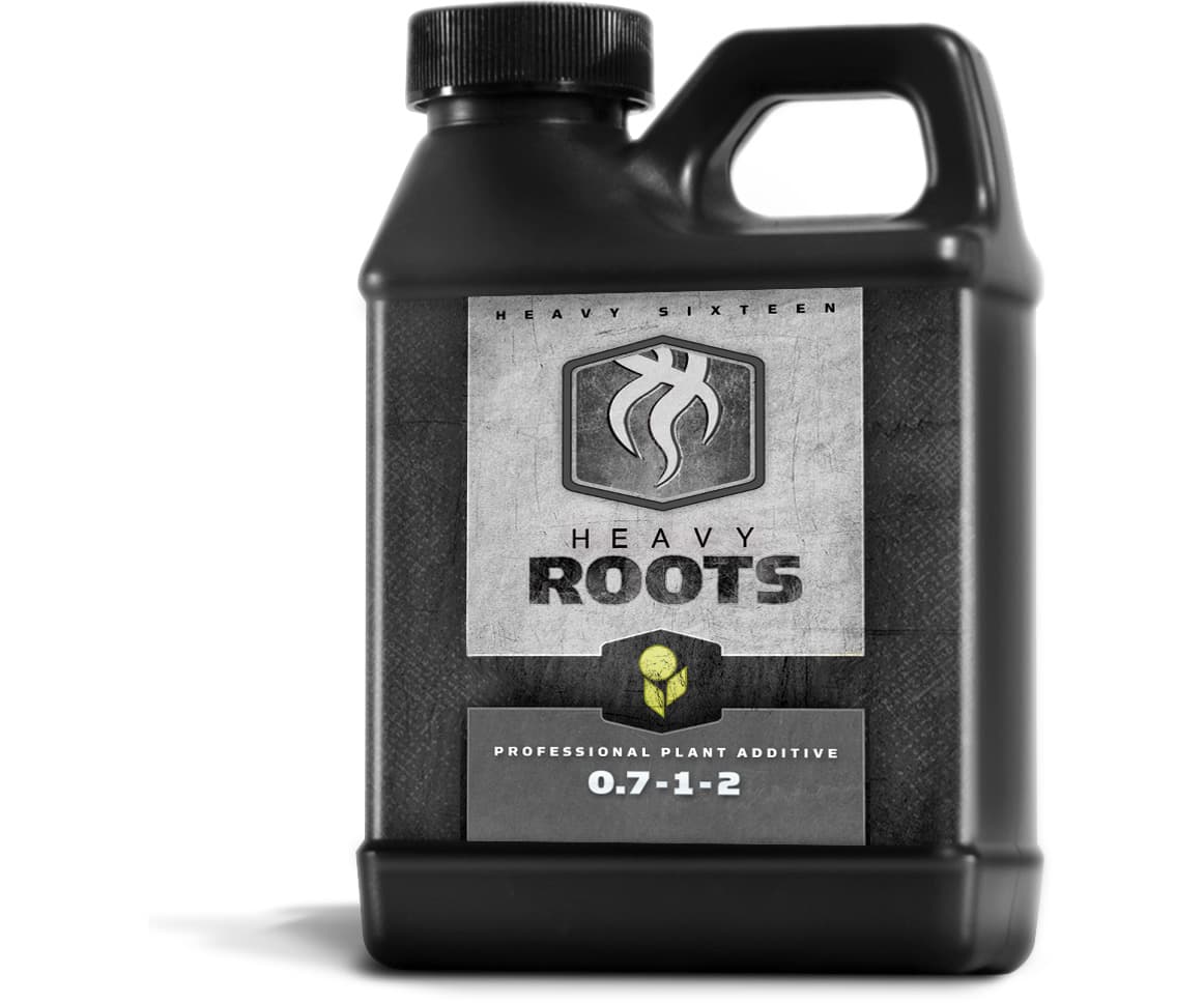 HEAVY 16 Roots, 16 oz — product photo