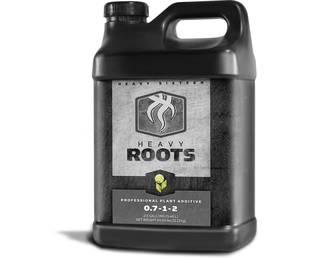 HEAVY 16 Roots, 2.5 gal — product photo