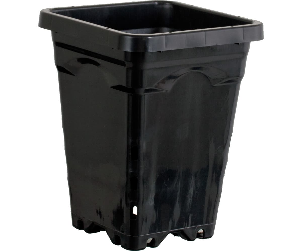 Active Aqua 5" x 5" Square Black Pot, 7" Tall, case of 100 — product photo