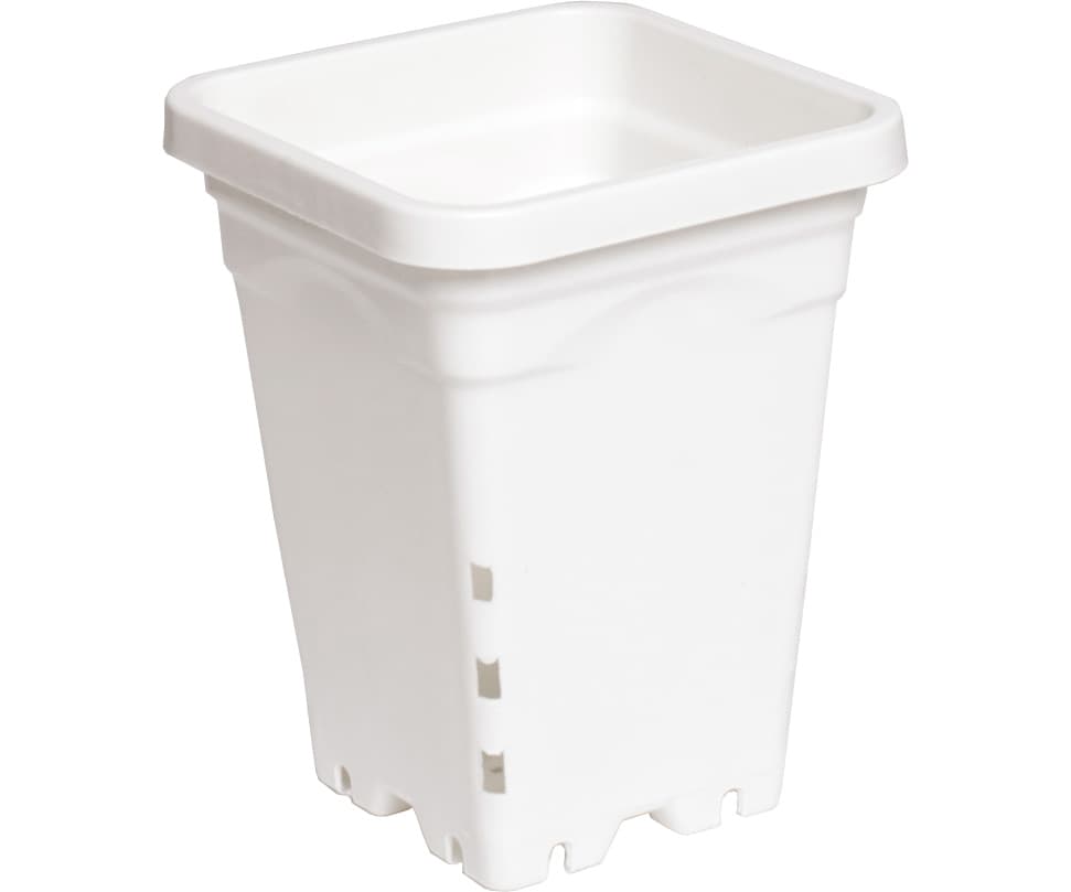 Active Aqua 5" x 5" Square White Pot, 7" Tall, case of 100 — product photo