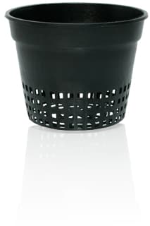 Net Cup, 6", bag of 50 — product photo