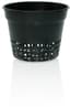 Net Cup, 6", bag of 50 — product photo
