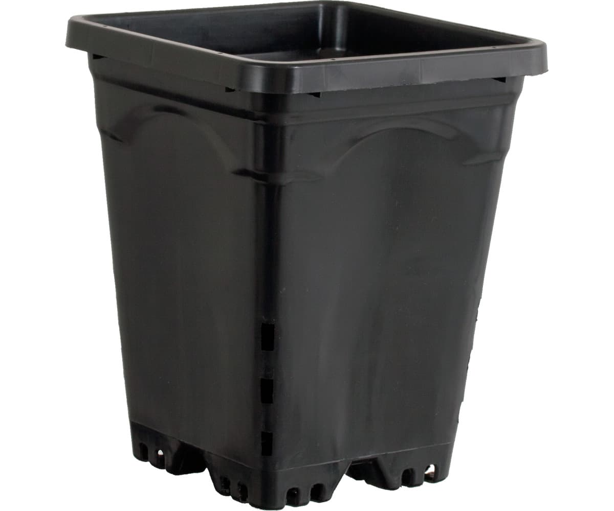 Active Aqua 6" x 6" Square Black Pot, 8" Tall, case of 50 — product photo