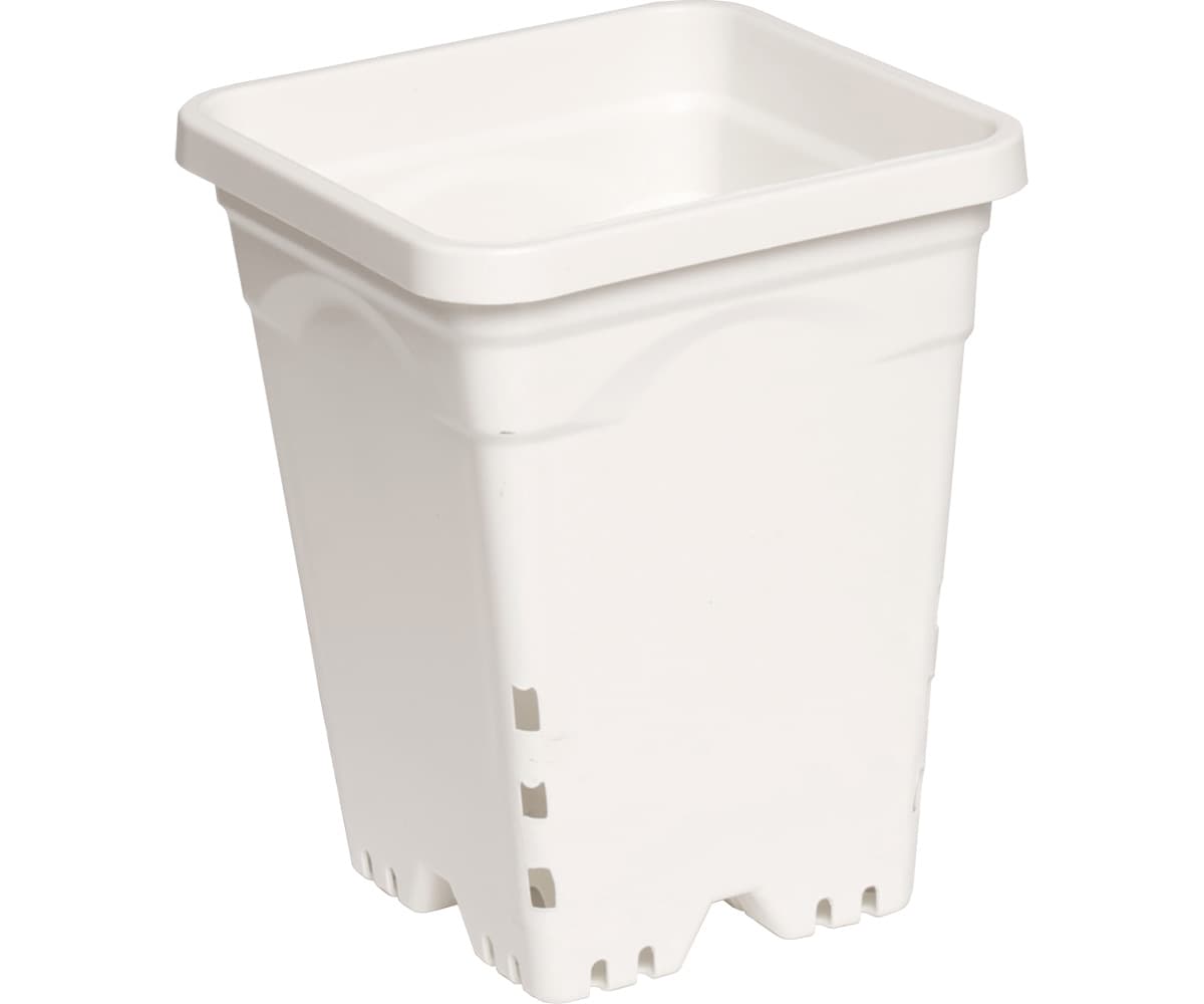 Active Aqua 6" x 6" Square White Pot, 8" Tall, case of 50 — product photo